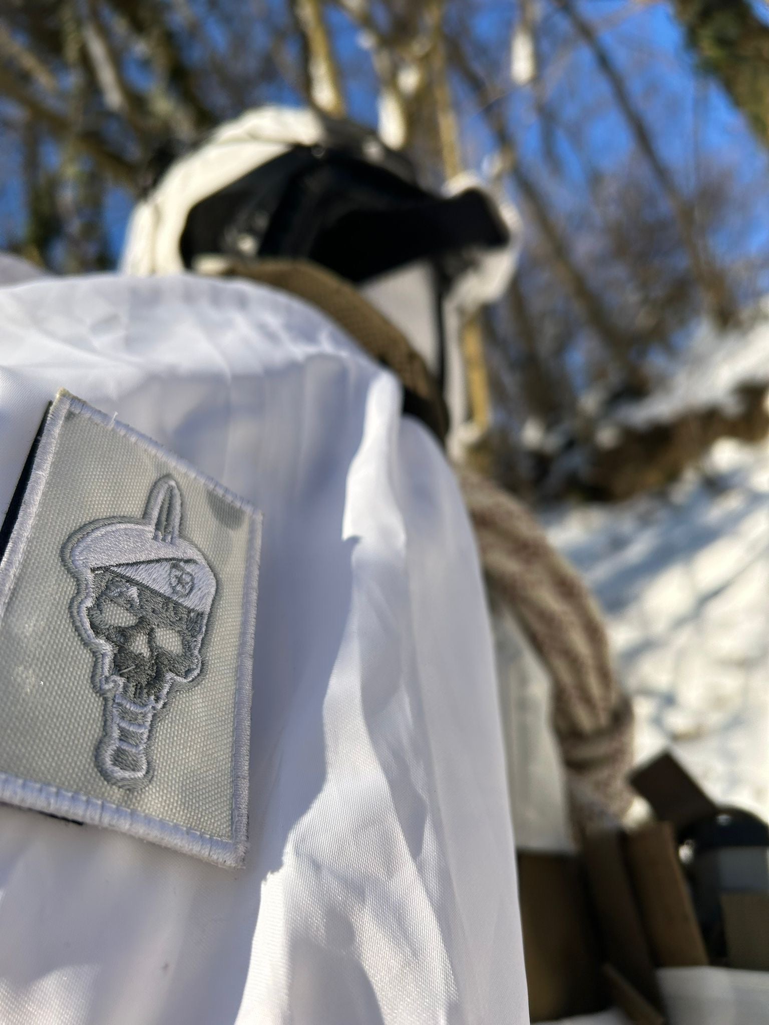 Alpine Multicam Patch