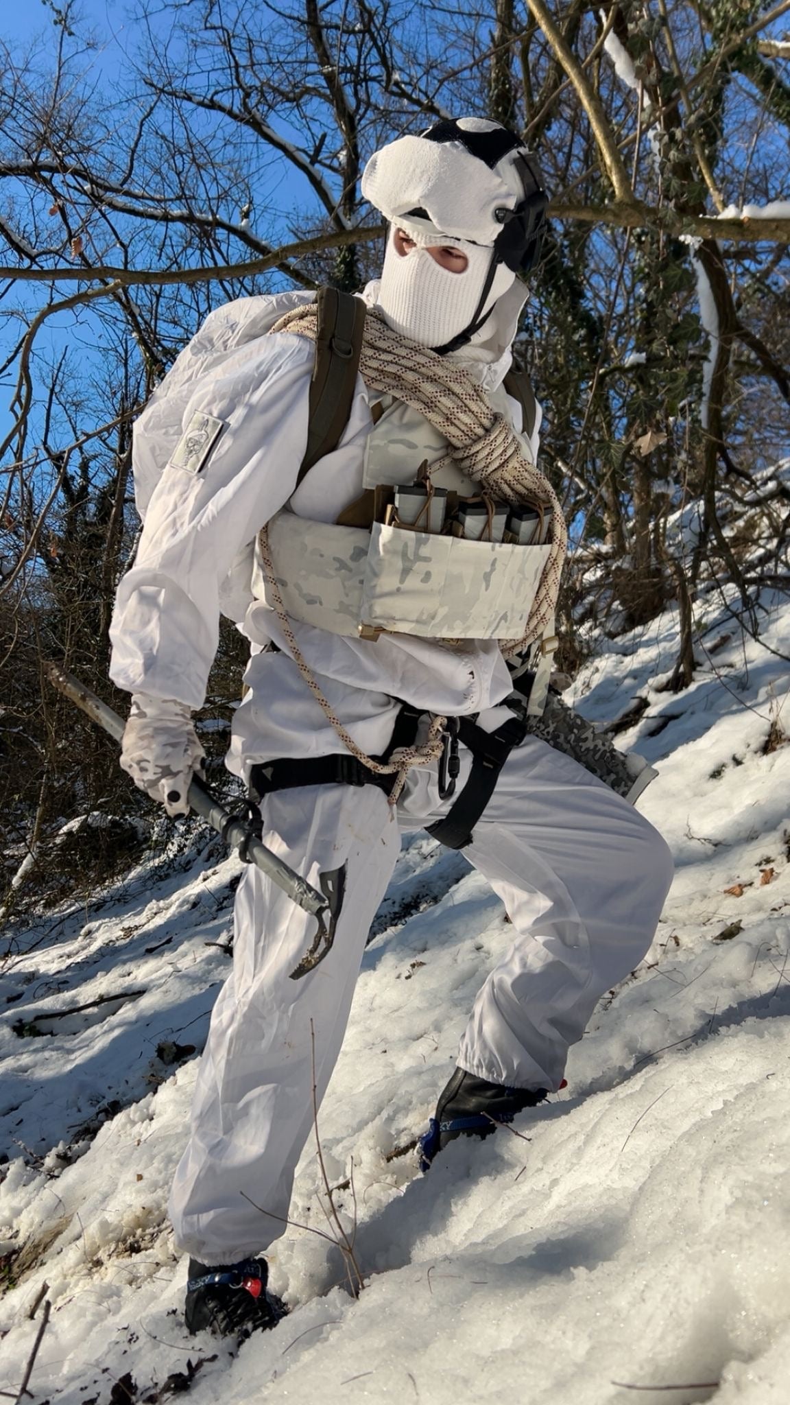 Alpine Multicam Patch