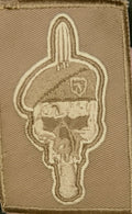 Sand Brown Patch