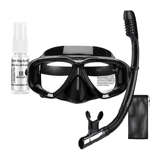 Diving Mask